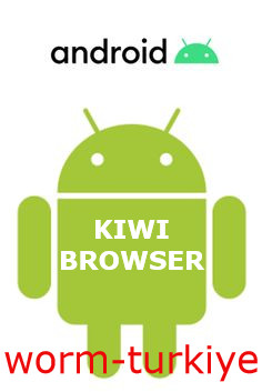 Kiwi Browser Installation